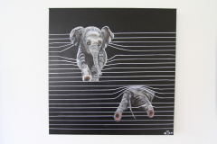 Billed-nr.-47-Elefant i persienner